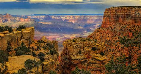 an introduction to grand canyon ecology grand canyon association Reader